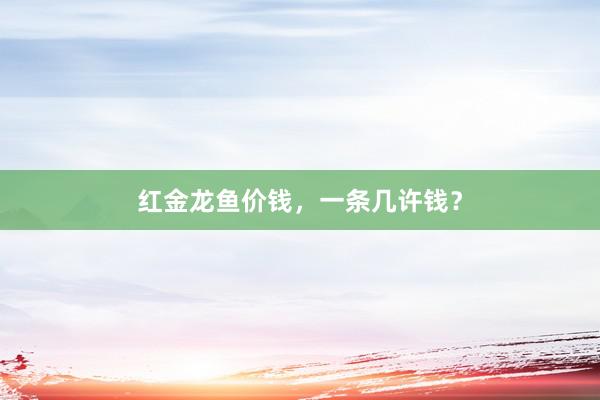 红金龙鱼价钱，一条几许钱？
