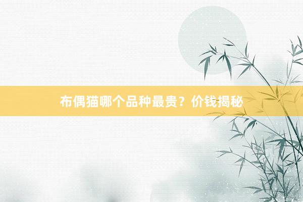 布偶猫哪个品种最贵？价钱揭秘