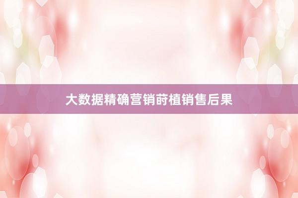 大数据精确营销莳植销售后果