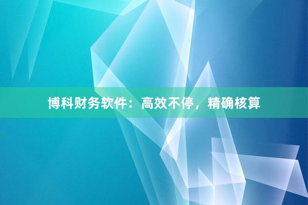 博科财务软件：高效不停，精确核算